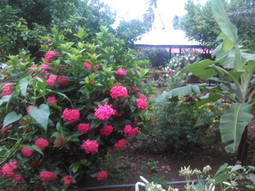 Hostal La Cascada San Ramon Mérida Esterno foto